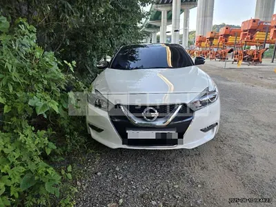 Photo 1 of 6: 2016 Nissan Maxima — Korean insurance auction