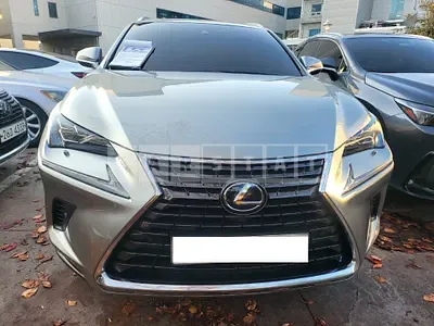 Photo 1 of 50: 2019 Lexus NX300h — Korean insurance auction