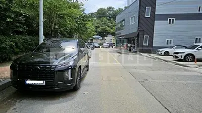 Photo 1 of 29: 2024 Hyundai Palisade — Korean insurance auction