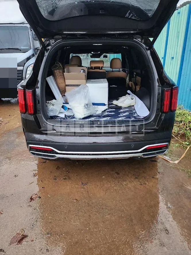 Photo 3 of 3: 2020 Kia Sorento — Korean insurance auction