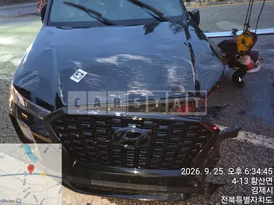 2019 Palisade Palisade