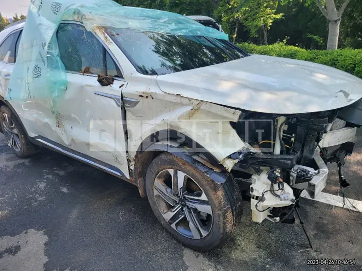 Photo 2 of 31: 2020 Kia Sorento 1.6 (Hybrid), VIN KNARG81GBMA004149 — Korean insurance auction