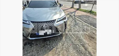 2024 Lexus UX300h