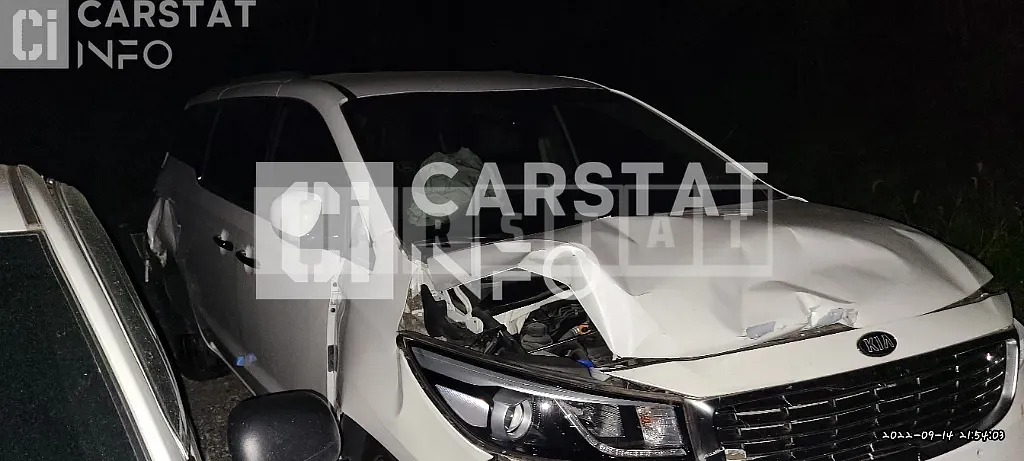Photo 2 of 30: 2017 Kia Carnival 9 -Seater — Korean insurance auction