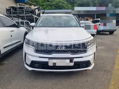 Photo 1 of 15: 2020 Kia Sorento 2.2 4WD, VIN KNARL81BHMA045694 — Korean insurance auction
