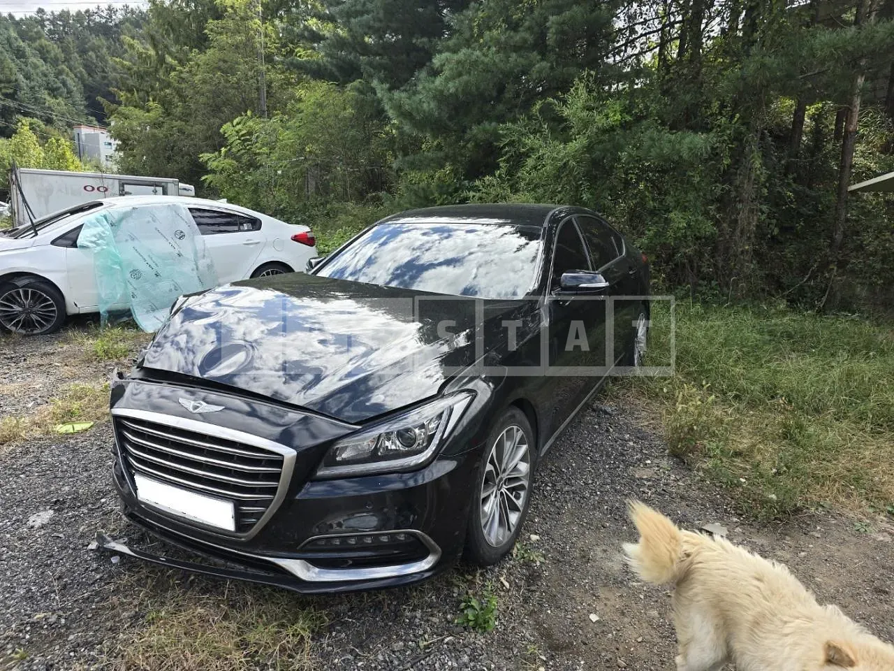 Photo 2 of 14: 2016 Hyundai Genesis G80, VIN KMHGL41DBHU179625 — Korean insurance auction