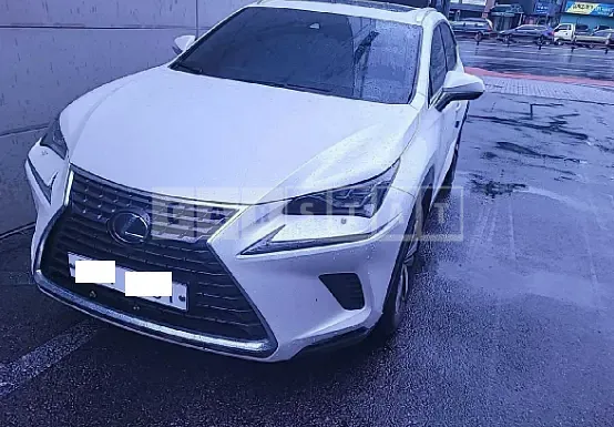 Photo 2 of 27: 2020 Lexus NX300h, VIN JTJDJRDZ2L2128242 — Korean insurance auction
