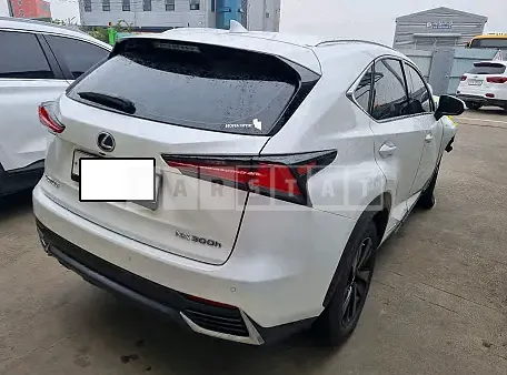 Photo 2 of 5: 2019 Lexus NX300h, VIN JTJBJRBZ9K2119465 — Korean insurance auction