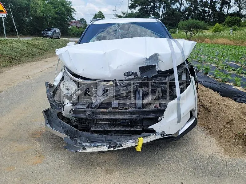 Photo 2 of 50: 2021 Kia Carnival, VIN KNANC81BBMS004700 — Korean insurance auction