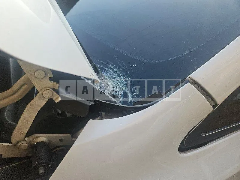 Photo 2 of 5: 2015 Kia Carnivals — Korean insurance auction