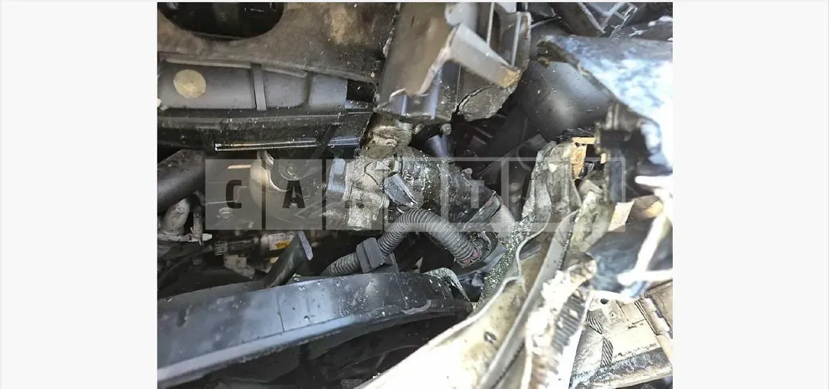 Photo 2 of 7: 2015 Kia Carnivals — Korean insurance auction