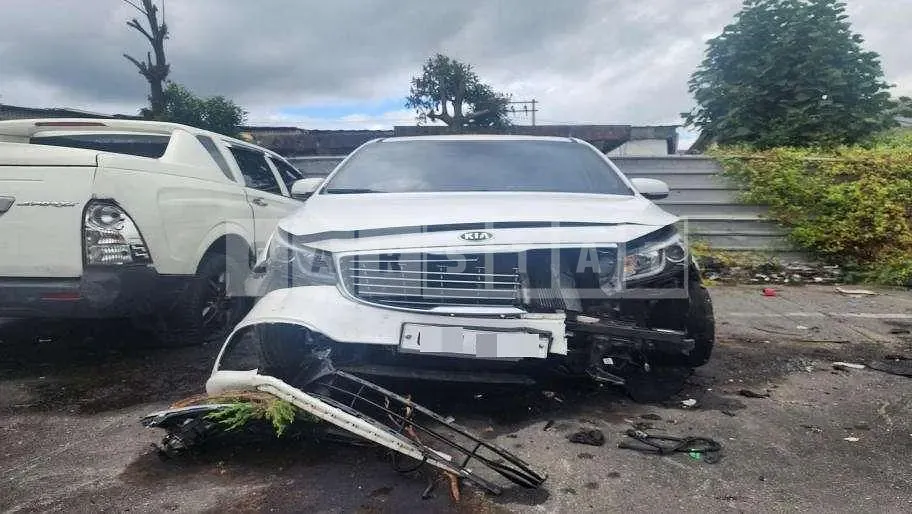 Photo 2 of 23: 2018 Kia Carnivals — Korean insurance auction