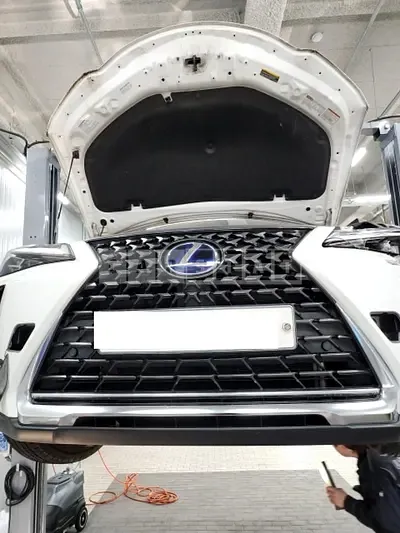 Photo 1 of 5: 2019 Lexus UX250h AWD, VIN JTHU9JBH8K2001192 — Korean insurance auction