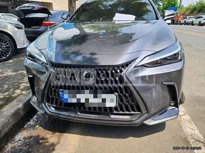 Photo 1 of 19: 2025 Lexus NX350h — Korean insurance auction