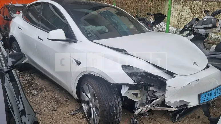 Photo 2 of 11: 2023 Tesla Model Y RWD — Korean insurance auction