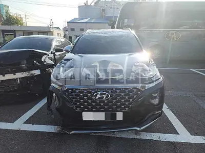Photo 1 of 25: 2019 Hyundai Santa Fe R2.0 (TM), VIN KMHS581BBKU136785 — Korean insurance auction