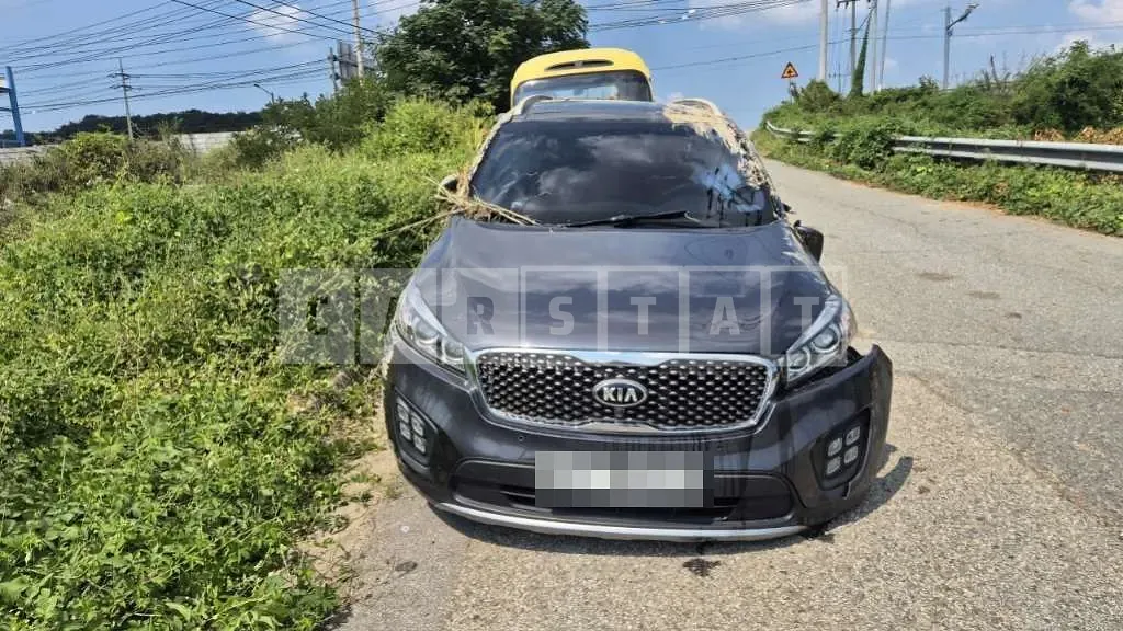 Photo 2 of 11: 2016 Kia Sorento — Korean insurance auction