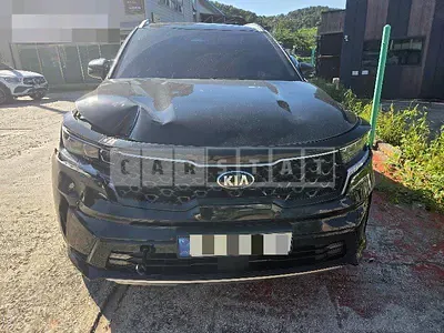 Photo 1 of 33: 2020 Kia Sorento 1.6 (Hybrid, 4WD) — Korean insurance auction