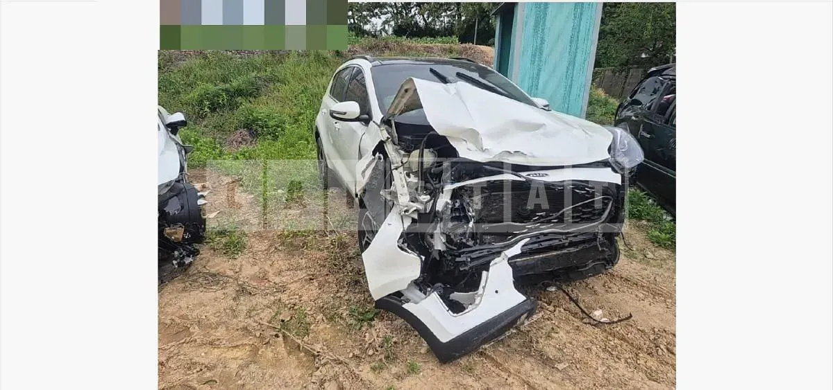 Photo 2 of 12: 2019 Kia Sportage Gasoline — Korean insurance auction