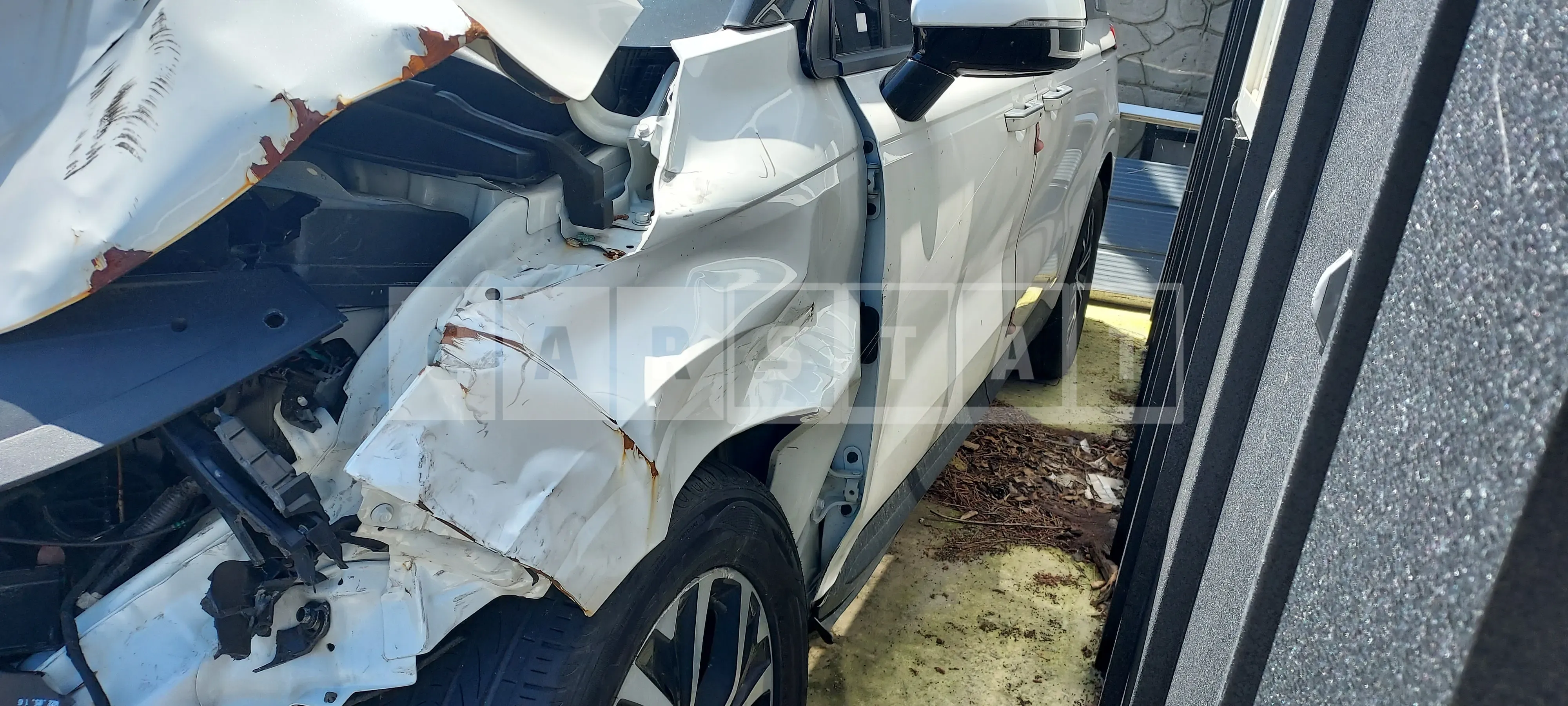 Photo 2 of 50: 2023 Kia Carnival — Korean insurance auction