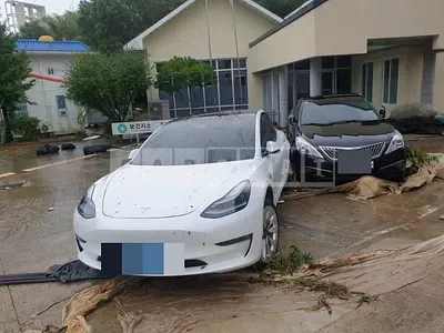 Photo 1 of 10: 2021 Tesla Model 3 Long Range, VIN 5YJ3E1EB4MF892162 — Korean insurance auction