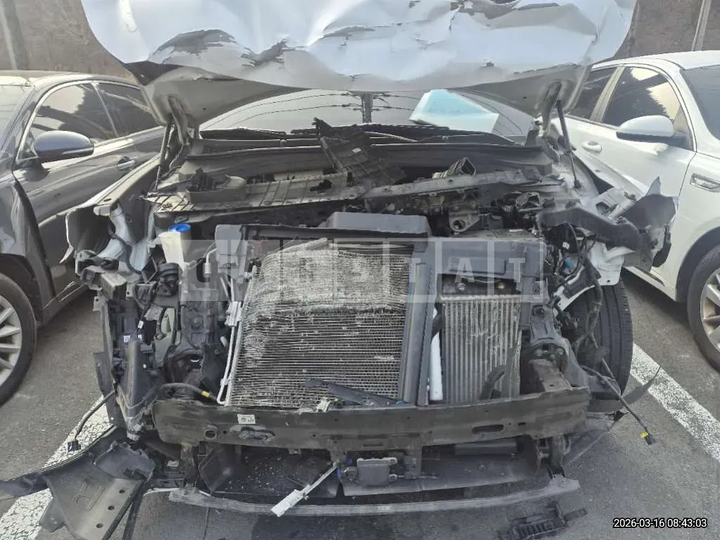 Photo 2 of 9: 2019 Hyundai Santa Fe TM Gasoline 2.0T — Korean insurance auction