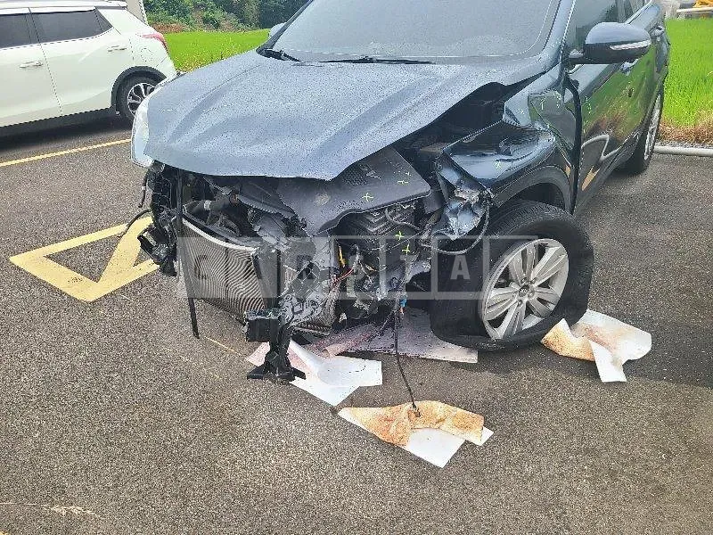 Photo 2 of 17: 2018 Kia Sportage, VIN KNAPM813BJK460132 — Korean insurance auction