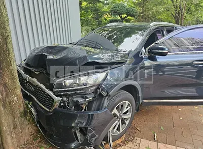 Photo 1 of 7: 2019 Kia Sorento — Korean insurance auction