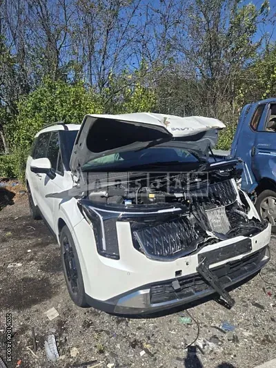 Photo 1 of 6: 2024 Kia Carnival 1.6 Hybrid — Korean insurance auction