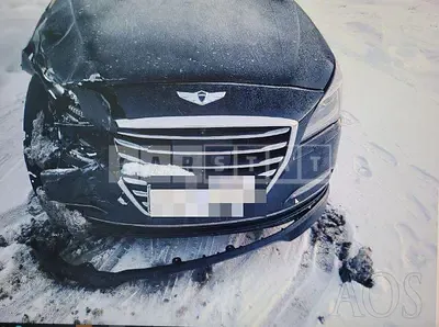 2016 Genesis 3.3