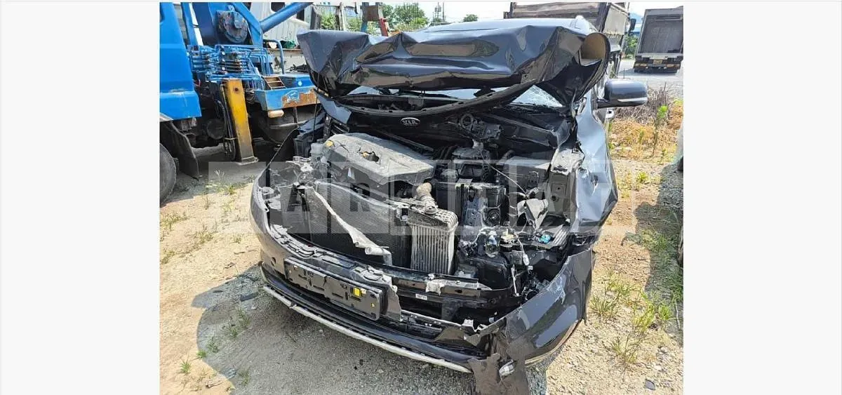 Photo 2 of 57: 2018 Kia Carnivals — Korean insurance auction