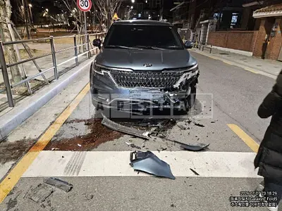 Photo 1 of 39: 2020 Kia Carnival Gasoline — Korean insurance auction