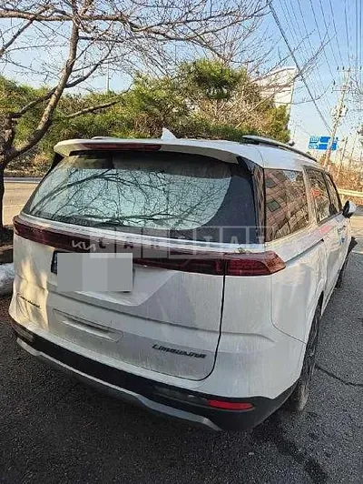 Photo 1 of 13: 2020 Kia Carnivals — Korean insurance auction