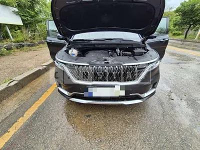 Photo 1 of 14: 2020 Kia Carnivals — Korean insurance auction