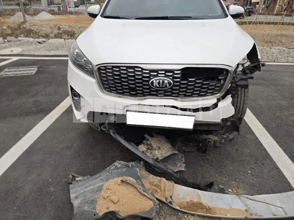 Photo 2 of 47: 2019 Kia Sorento /Sorrento, VIN KNAPG81BDKA540068 — Korean insurance auction