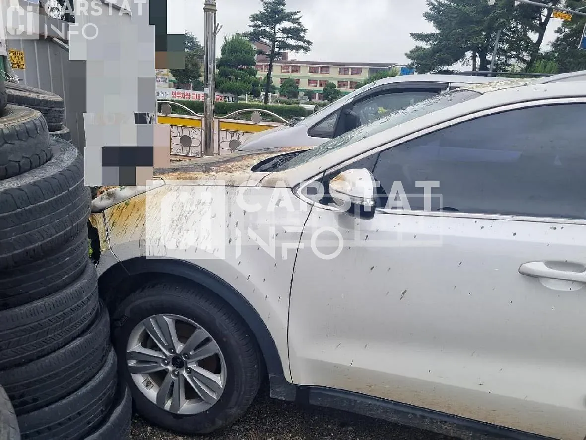 Photo 2 of 5: 2016 Kia Sportage 1.7 — Korean insurance auction