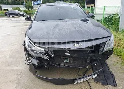 Photo 1 of 9: 2019 Kia K5, VIN KNAGT411BKA261051 — Korean insurance auction