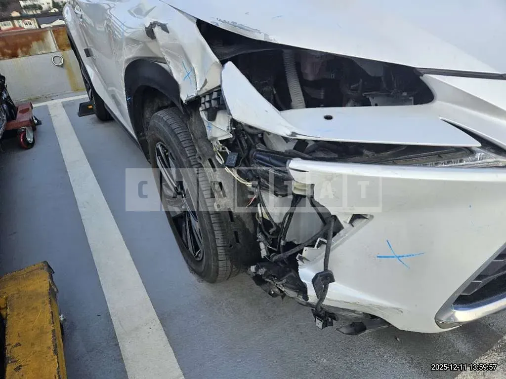 Photo 2 of 9: 2019 Lexus NX300h — Korean insurance auction