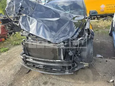 Photo 1 of 12: 2019 Hyundai Palisade, VIN KMHR381EDKU033510 — Korean insurance auction