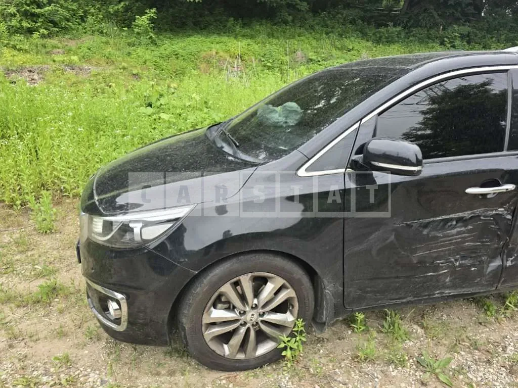 Photo 2 of 13: 2016 Kia Carnivals — Korean insurance auction