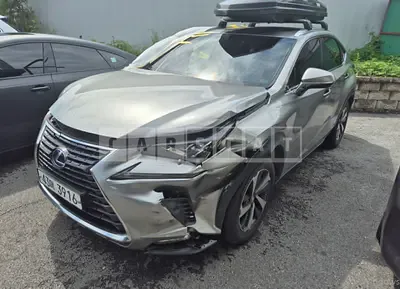 Photo 1 of 33: 2018 Lexus NX300h — Korean insurance auction