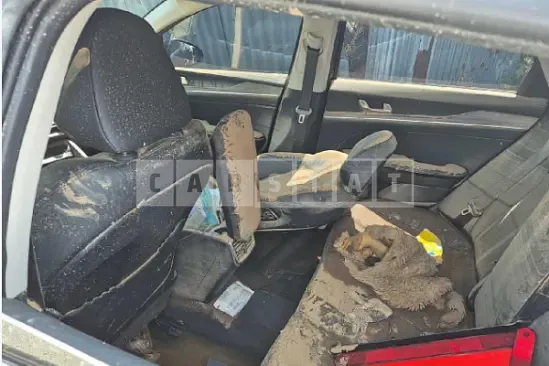 Photo 2 of 11: 2020 Kia K5 — Korean insurance auction