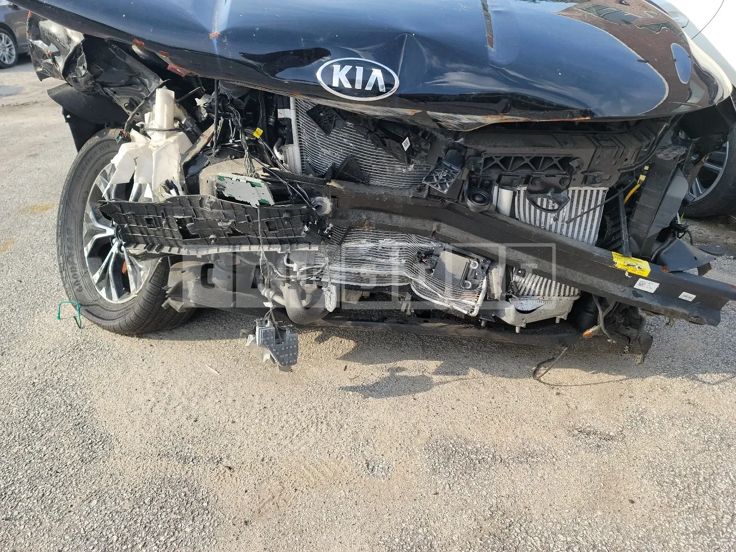Photo 2 of 13: 2021 Kia Carnival, VIN KNANC81BBMS116385 — Korean insurance auction