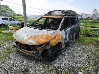 Photo 1 of 20: 2020 Kia Carnival — Korean insurance auction