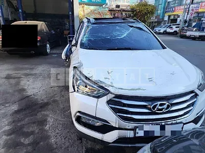 Photo 1 of 10: 2017 Hyundai Santa Fe 2.0 (2WD) — Korean insurance auction