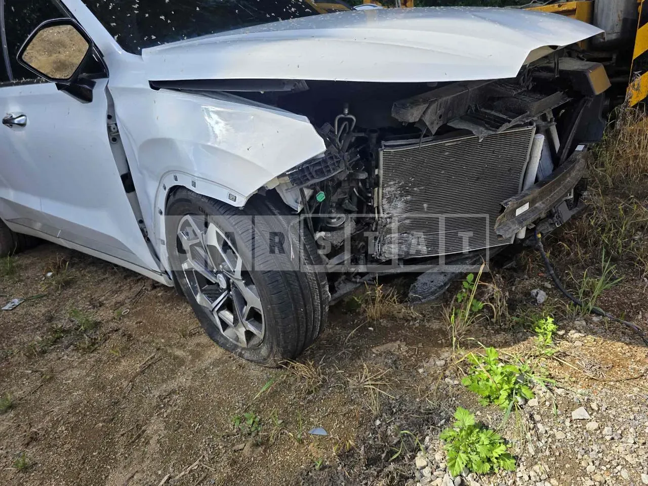 Photo 2 of 34: 2020 Hyundai Palisade, VIN KMHR581ADMU255555 — Korean insurance auction