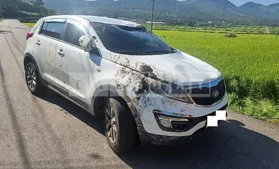 Photo 1 of 6: 2016 Kia Sportage, VIN KNAPB813AEK580648 — Korean insurance auction