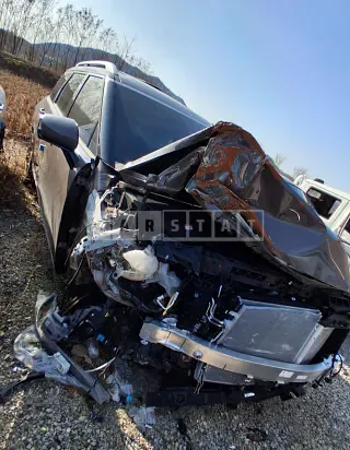 Photo 2 of 6: 2025 Hyundai Palisade — Korean insurance auction