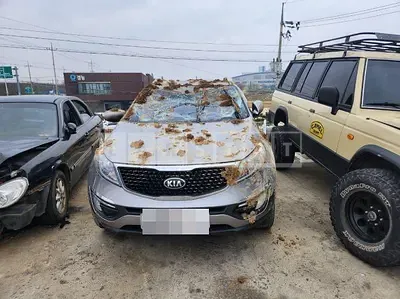 Photo 1 of 9: 2015 Kia Sportage R — Korean insurance auction