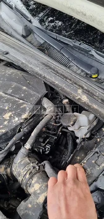 Photo 2 of 33: 2020 Kia K5 2.0(LPG), VIN KNAG741BBLA017916 — Korean insurance auction